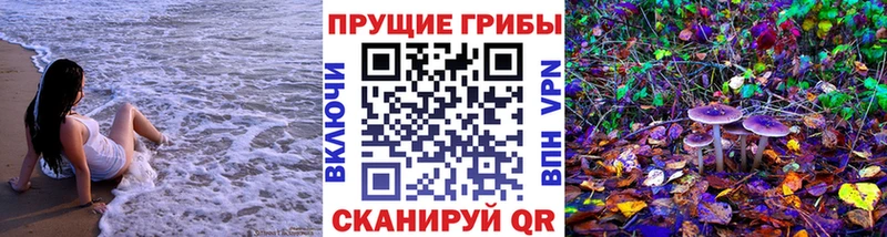 Галлюциногенные грибы мухоморы  сколько стоит  мориарти наркотические препараты  Новое Девяткино 